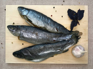 Анчоус: Форель радужная вяленая